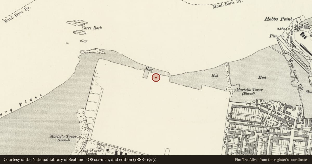 Ordnance Survey six-inch map, 2nd edition (1888–1913) covering the location of Building Slip No 4, Pembroke Dock, Pembrokeshire, with a pin at the register's coordinates