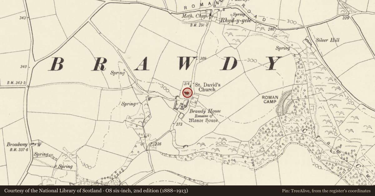 Ordnance Survey six-inch map, 2nd edition (1888–1913) covering the location of Church of St David, Brawdy, Pembrokeshire, with a pin at the register's coordinates
