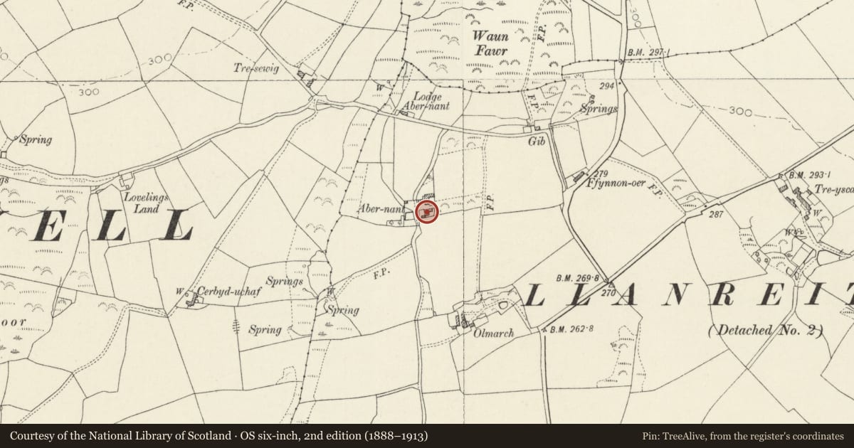 Ordnance Survey six-inch map, 2nd edition (1888–1913) covering the location of Abernant including Front Garden Railings and Gate, Brawdy, Pembrokeshire, with a pin at the register's coordinates