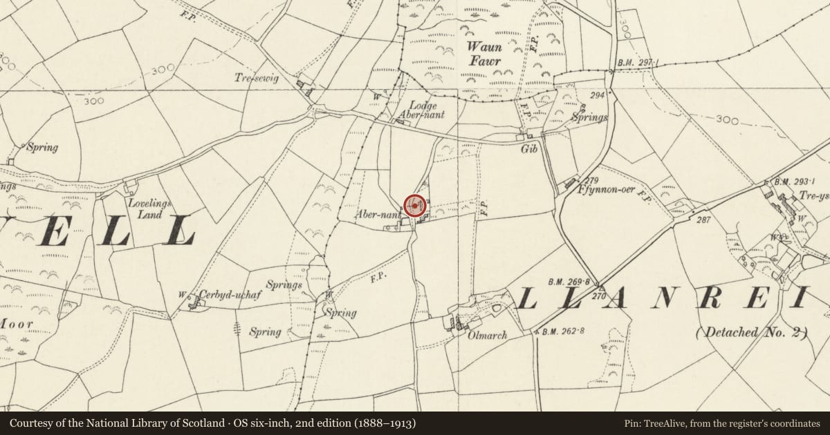 Ordnance Survey six-inch map, 2nd edition (1888–1913) covering the location of Coach-House at Abernant, Brawdy, Pembrokeshire, with a pin at the register's coordinates