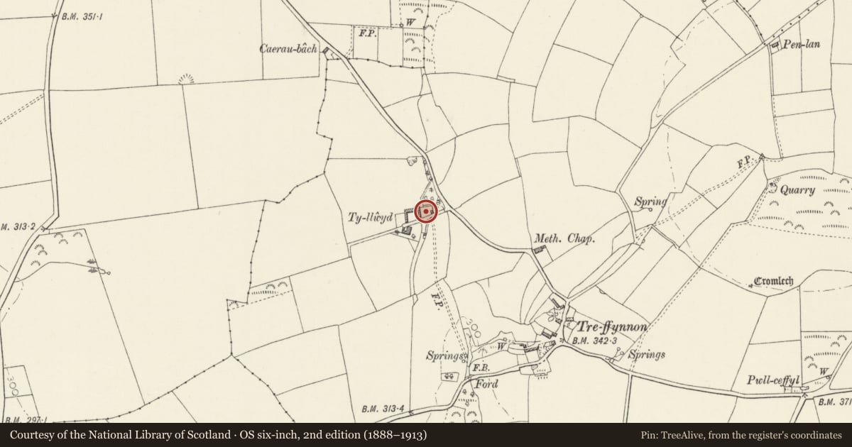 Ordnance Survey six-inch map, 2nd edition (1888–1913) covering the location of Linked Outbuildings NE of Tyllwyd, Brawdy, Pembrokeshire, with a pin at the register's coordinates
