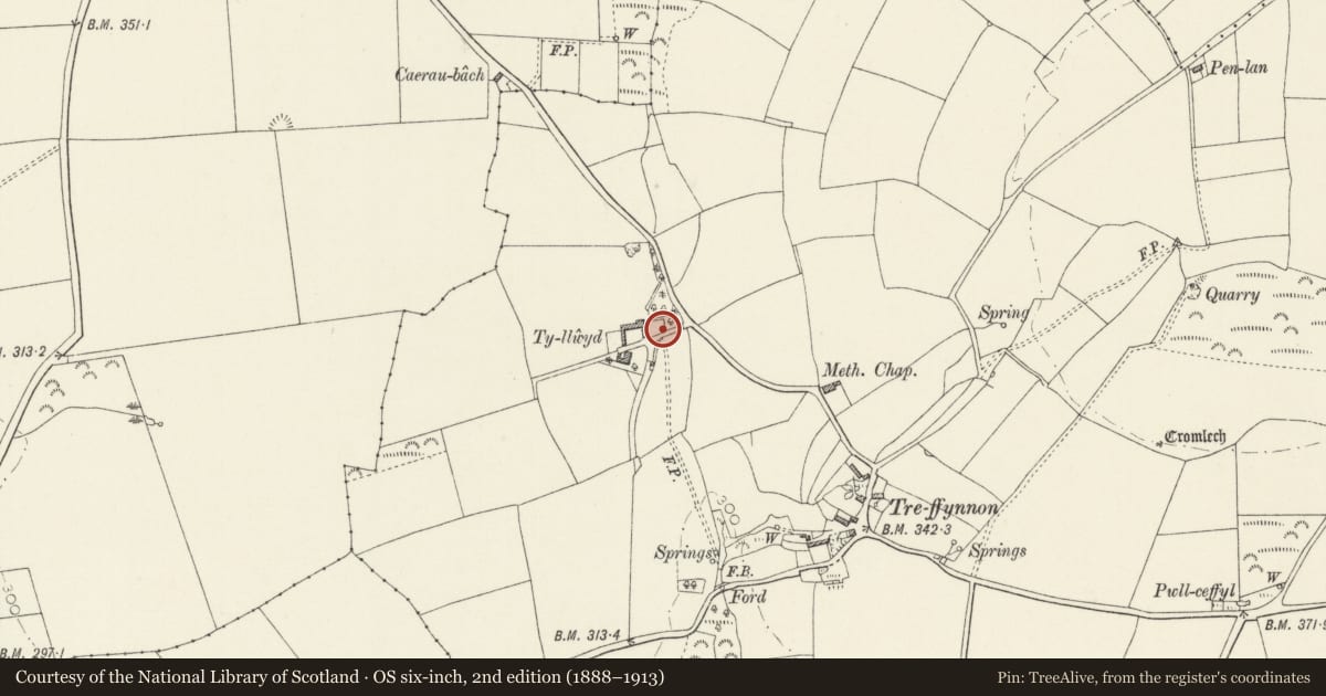 Ordnance Survey six-inch map, 2nd edition (1888–1913) covering the location of Linked Outbuilding NE of Tyllwyd, Brawdy, Pembrokeshire, with a pin at the register's coordinates
