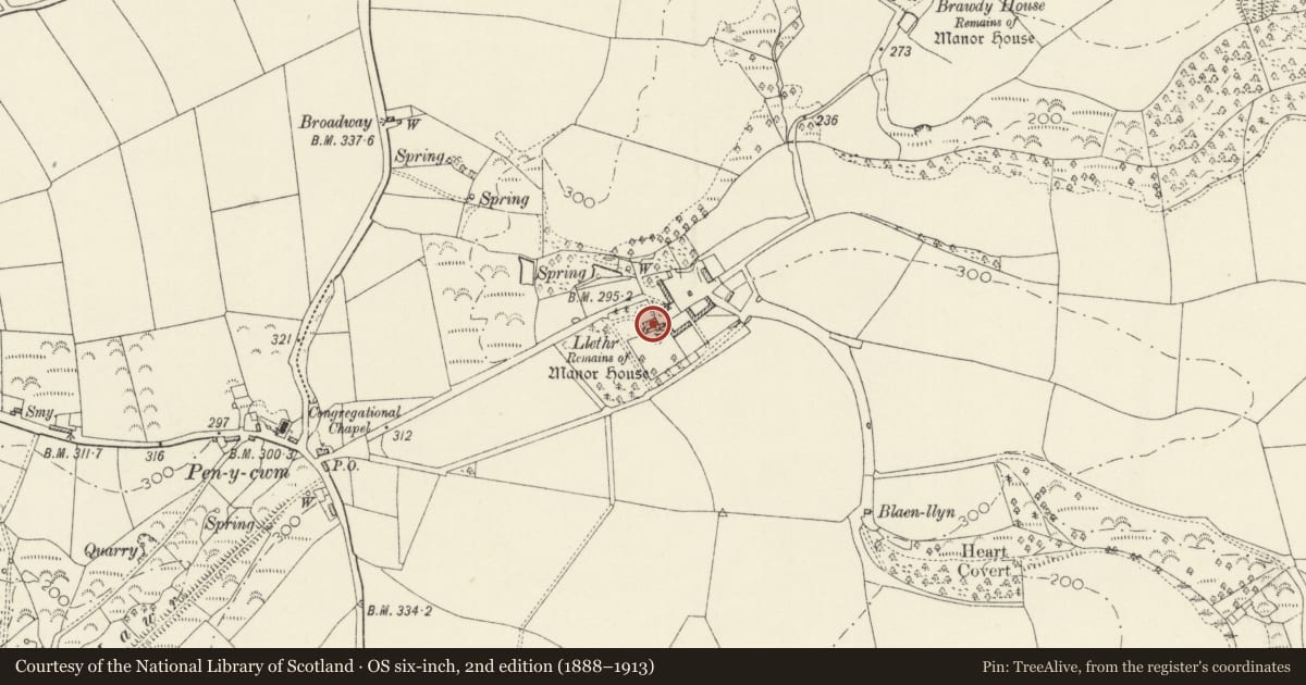 Ordnance Survey six-inch map, 2nd edition (1888–1913) covering the location of Llethr, Brawdy, Pembrokeshire, with a pin at the register's coordinates