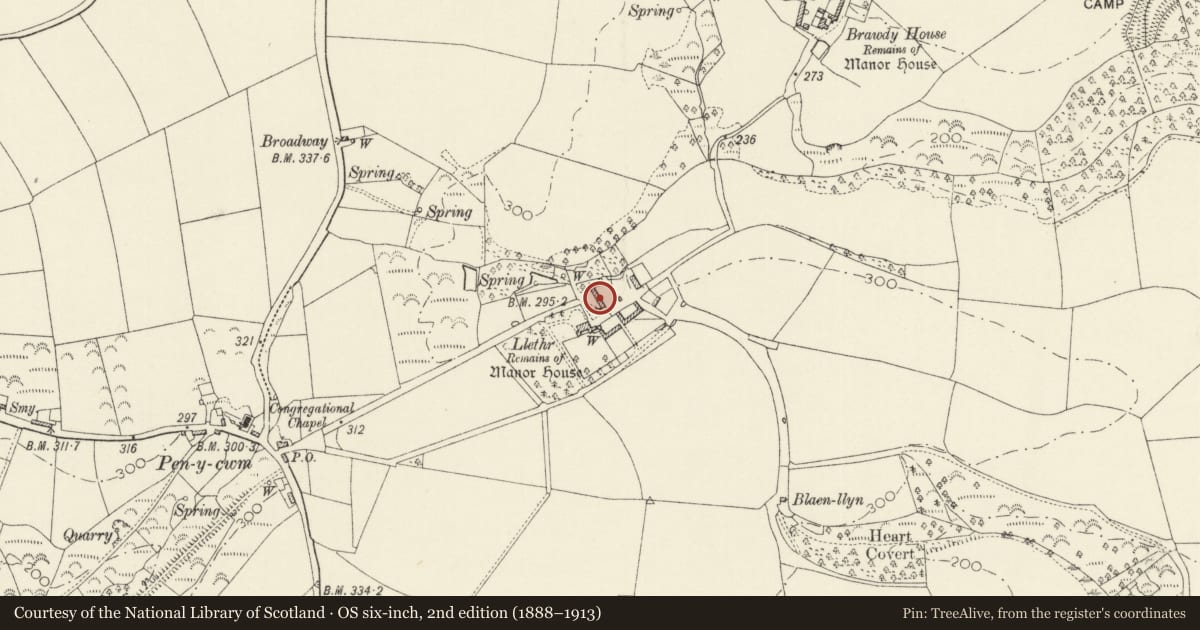 Ordnance Survey six-inch map, 2nd edition (1888–1913) covering the location of Stable Block at Llethr, Brawdy, Pembrokeshire, with a pin at the register's coordinates