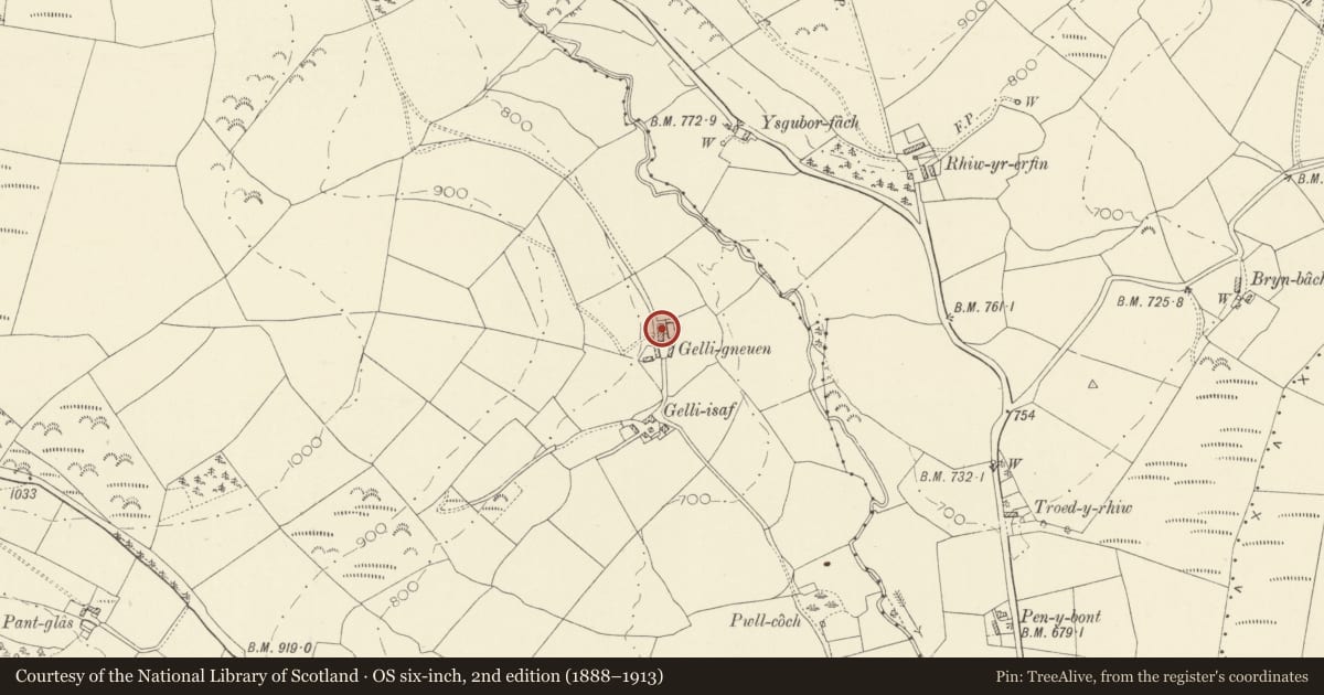 Ordnance Survey six-inch map, 2nd edition (1888–1913) covering the location of Gelli Uchaf (also known as Gelli Gneuen), Llanybydder, Carmarthenshire, with a pin at the register's coordinates