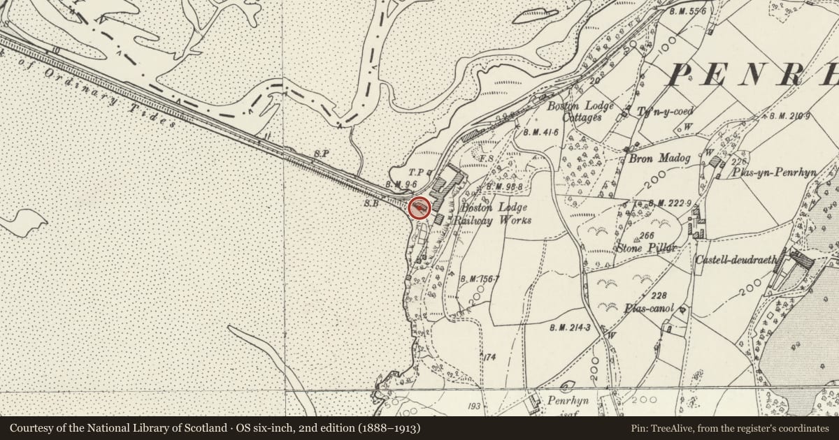 Ordnance Survey six-inch map, 2nd edition (1888–1913) covering the location of Crane at S End of Boston Lodge Railway Works, Penrhyndeudraeth, Gwynedd, with a pin at the register's coordinates