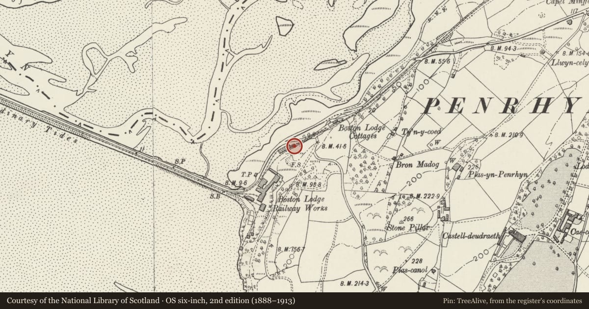 Ordnance Survey six-inch map, 2nd edition (1888–1913) covering the location of Former Weigh House at Boston Lodge Railway Works, Penrhyndeudraeth, Gwynedd, with a pin at the register's coordinates