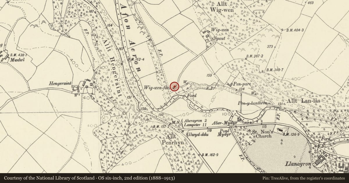 Ordnance Survey six-inch map, 2nd edition (1888–1913) covering the location of Wigwen Fach, Dyffryn Arth, Ceredigion, with a pin at the register's coordinates