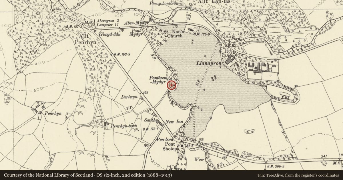 Ordnance Survey six-inch map, 2nd edition (1888–1913) covering the location of Minafon, Henfynyw, Ceredigion, with a pin at the register's coordinates
