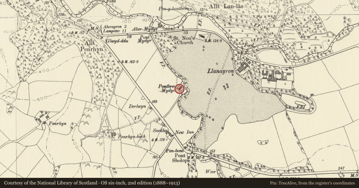 Ordnance Survey six-inch map, 2nd edition (1888–1913) covering the location of Pontbrenmydyr, Henfynyw, Ceredigion, with a pin at the register's coordinates