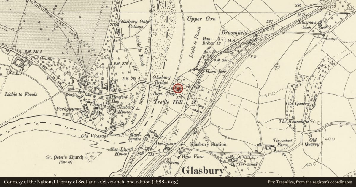 Ordnance Survey six-inch map, 2nd edition (1888–1913) covering the location of Treble Hill Baptist Chapel, Gwernyfed, Powys, with a pin at the register's coordinates