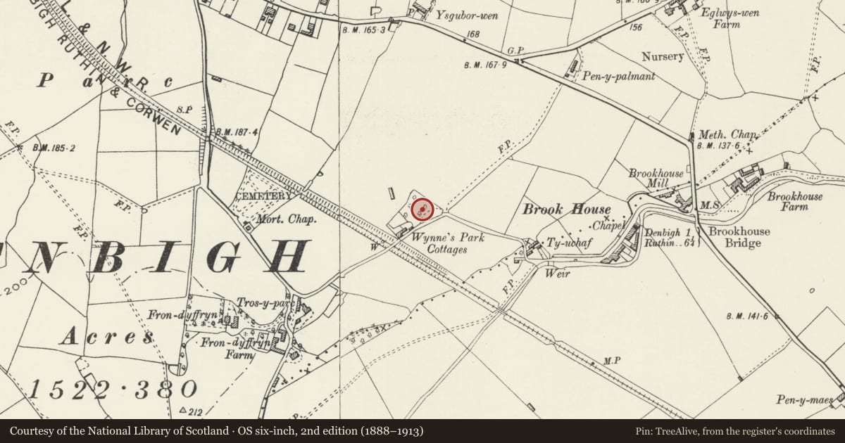 Ordnance Survey six-inch map, 2nd edition (1888–1913) covering the location of Wynne's Park Nursing Home (main block only), Denbigh, Denbighshire, with a pin at the register's coordinates