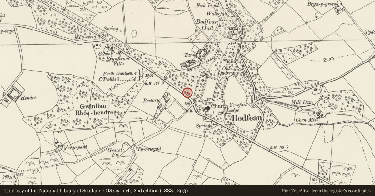 Ordnance Survey six-inch map, 2nd edition (1888–1913) covering the location of Automobile Association Telephone Call Box, Buan, Gwynedd, with a pin at the register's coordinates