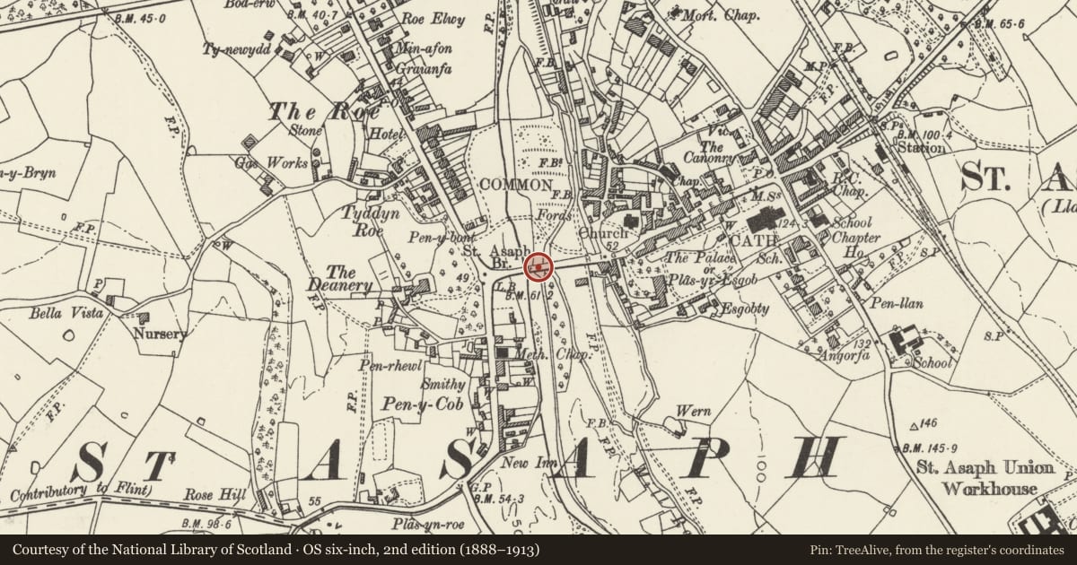 Ordnance Survey six-inch map, 2nd edition (1888–1913) covering the location of St. Asaph, Denbighshire, with a pin at the register's coordinates