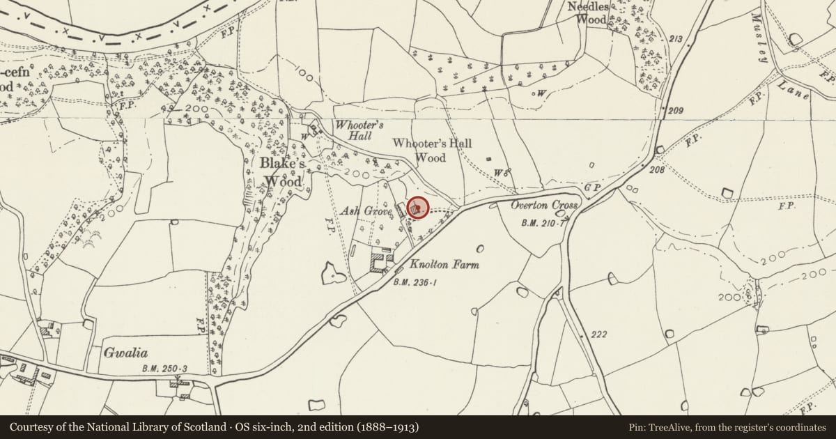 Ordnance Survey six-inch map, 2nd edition (1888–1913) covering the location of Ash Grove, Overton, Wrexham, with a pin at the register's coordinates