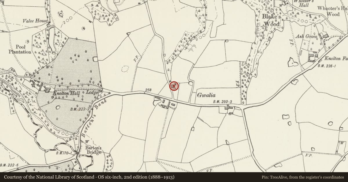 Ordnance Survey six-inch map, 2nd edition (1888–1913) covering the location of Gwalia, Overton, Wrexham, with a pin at the register's coordinates