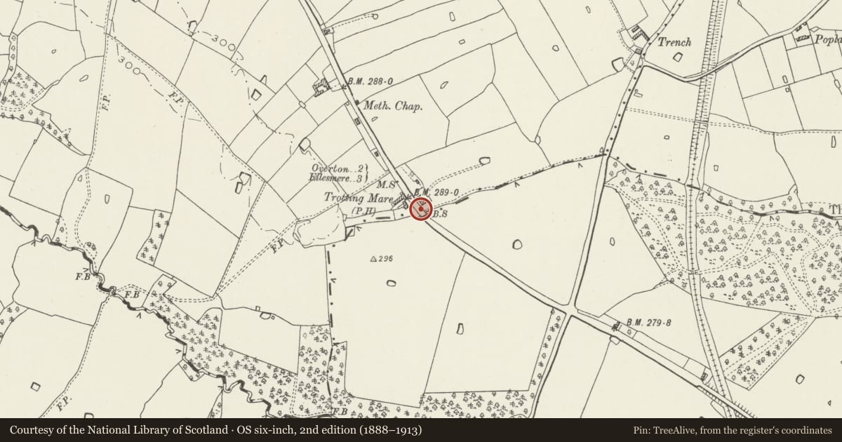 Ordnance Survey six-inch map, 2nd edition (1888–1913) covering the location of Mile Post adjacent to Trotting Mare Public House, Overton, Wrexham, with a pin at the register's coordinates