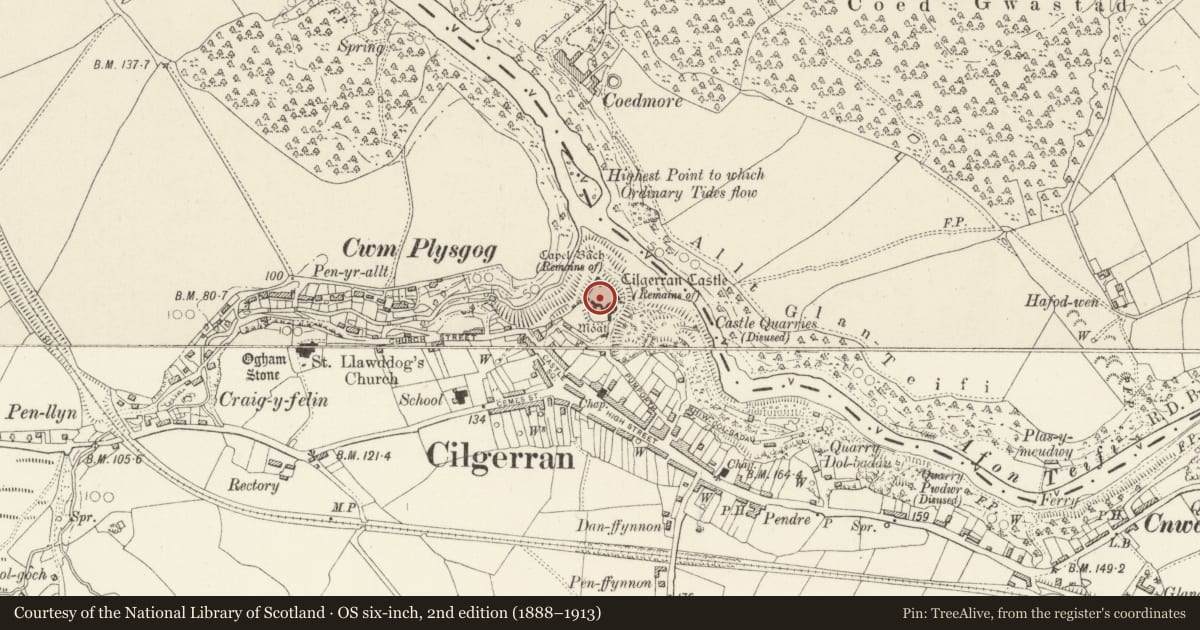 Ordnance Survey six-inch map, 2nd edition (1888–1913) covering the location of Cilgerran Castle, Pembrokeshire, with a pin at the register's coordinates