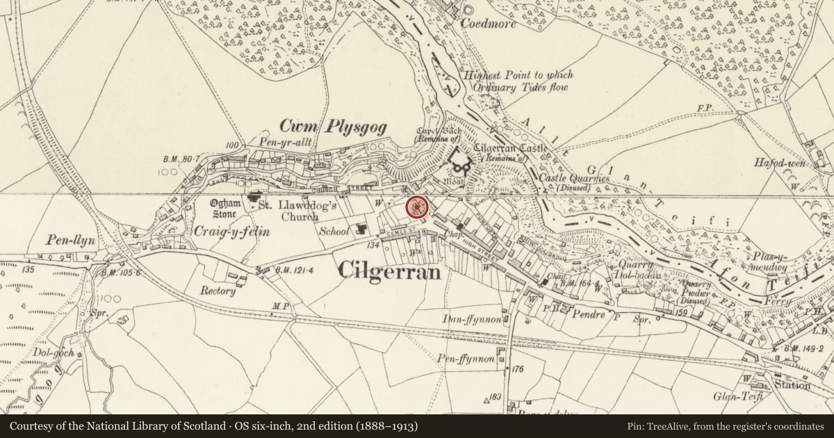 Ordnance Survey six-inch map, 2nd edition (1888–1913) covering the location of Ty Melyn including Garden Wall and Gate, Cilgerran, Pembrokeshire, with a pin at the register's coordinates