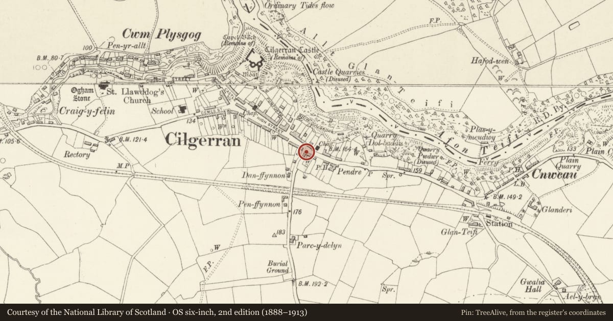 Ordnance Survey six-inch map, 2nd edition (1888–1913) covering the location of Bronwydd House, Cilgerran, Pembrokeshire, with a pin at the register's coordinates