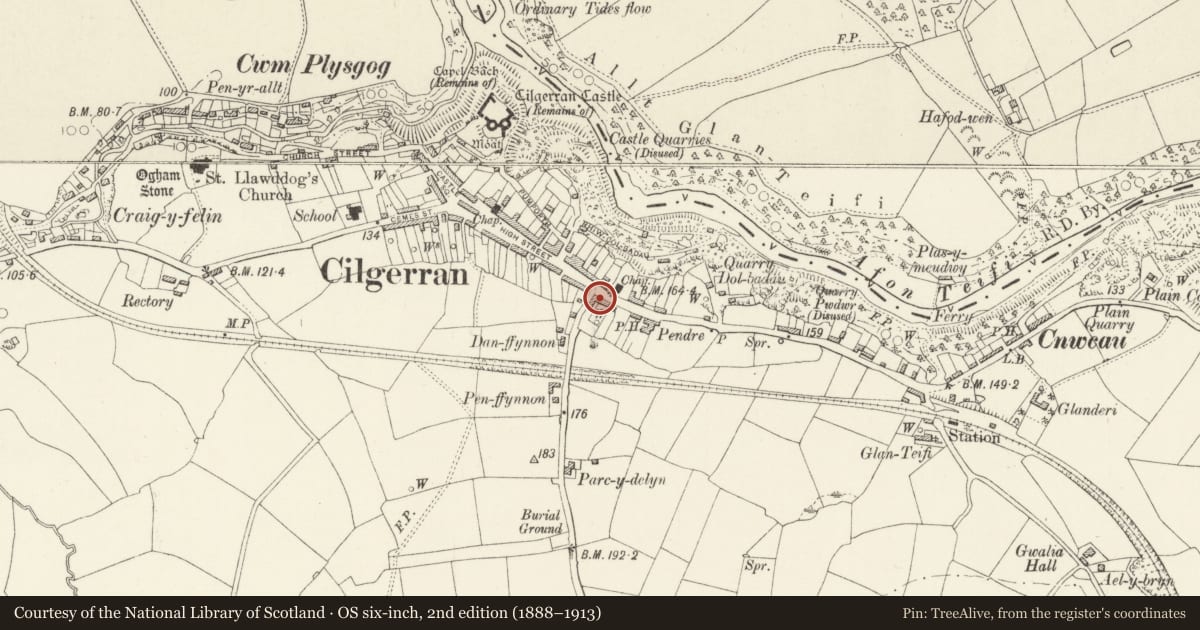 Ordnance Survey six-inch map, 2nd edition (1888–1913) covering the location of Dinsdale, Cilgerran, Pembrokeshire, with a pin at the register's coordinates