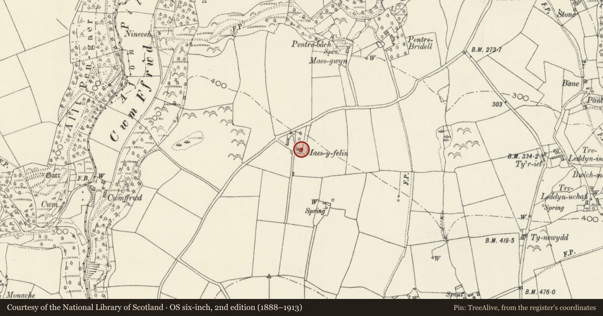 Ordnance Survey six-inch map, 2nd edition (1888–1913) covering the location of Maesyfelin, Cilgerran, Pembrokeshire, with a pin at the register's coordinates