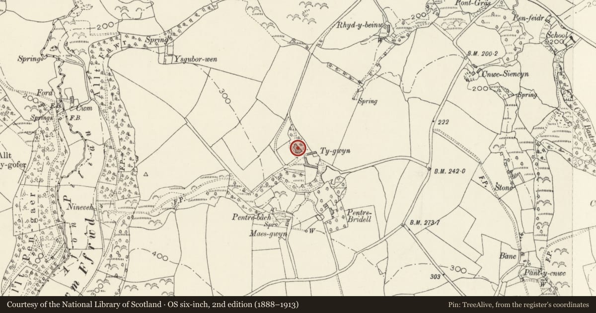 Ordnance Survey six-inch map, 2nd edition (1888–1913) covering the location of Ty Gwyn, Cilgerran, Pembrokeshire, with a pin at the register's coordinates
