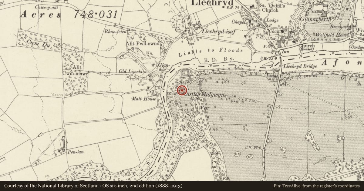 Ordnance Survey six-inch map, 2nd edition (1888–1913) covering the location of Castle Malgwyn Hotel, Cilgerran, Pembrokeshire, with a pin at the register's coordinates