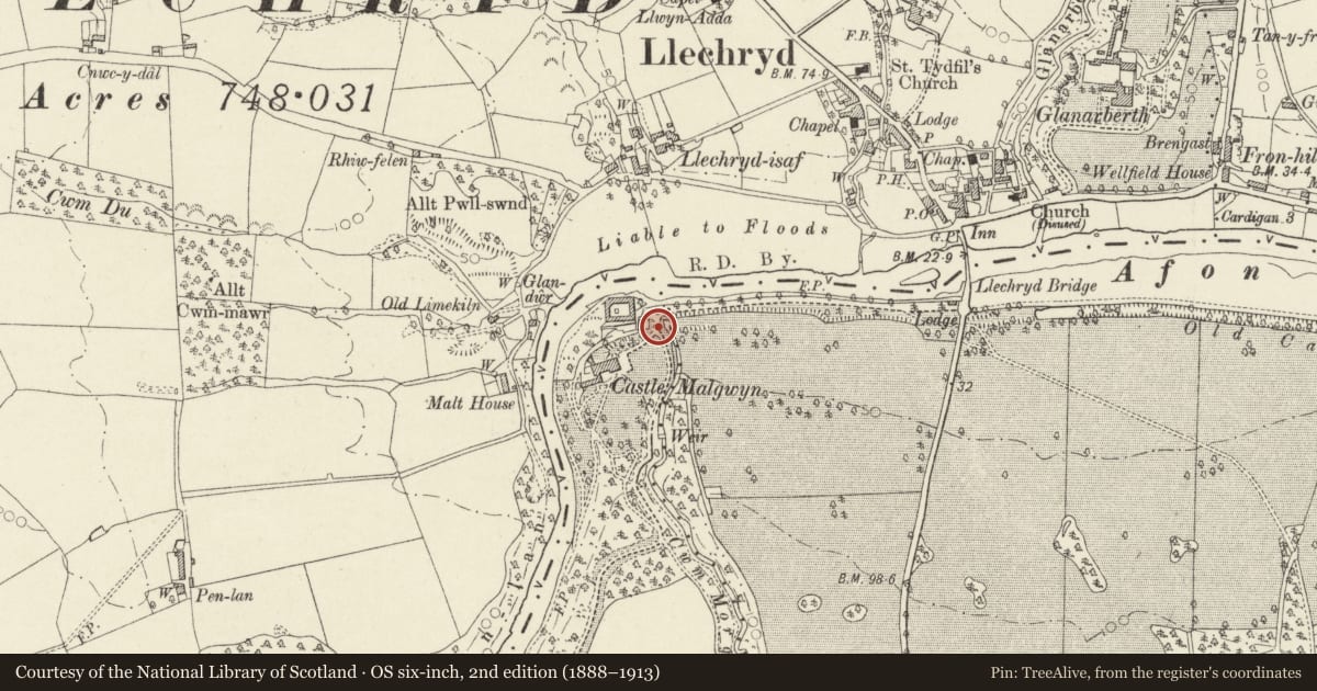 Ordnance Survey six-inch map, 2nd edition (1888–1913) covering the location of 1st Bridge NE of Hotel, Cilgerran, Pembrokeshire, with a pin at the register's coordinates