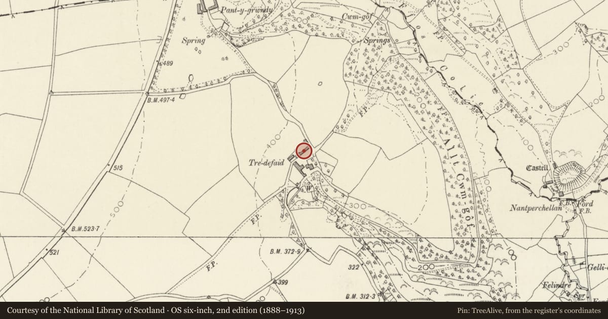 Ordnance Survey six-inch map, 2nd edition (1888–1913) covering the location of Outbuildings on N Side of yard at Tredefaid, Cilgerran, Pembrokeshire, with a pin at the register's coordinates