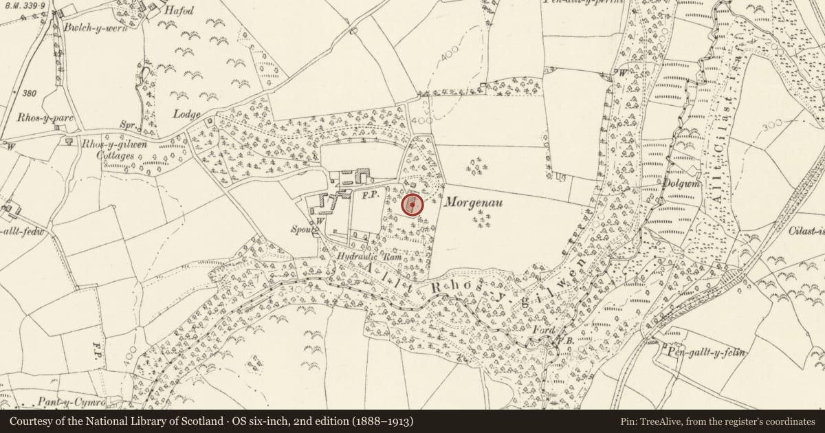 Ordnance Survey six-inch map, 2nd edition (1888–1913) covering the location of Rhosygilwen, Cilgerran, Pembrokeshire, with a pin at the register's coordinates