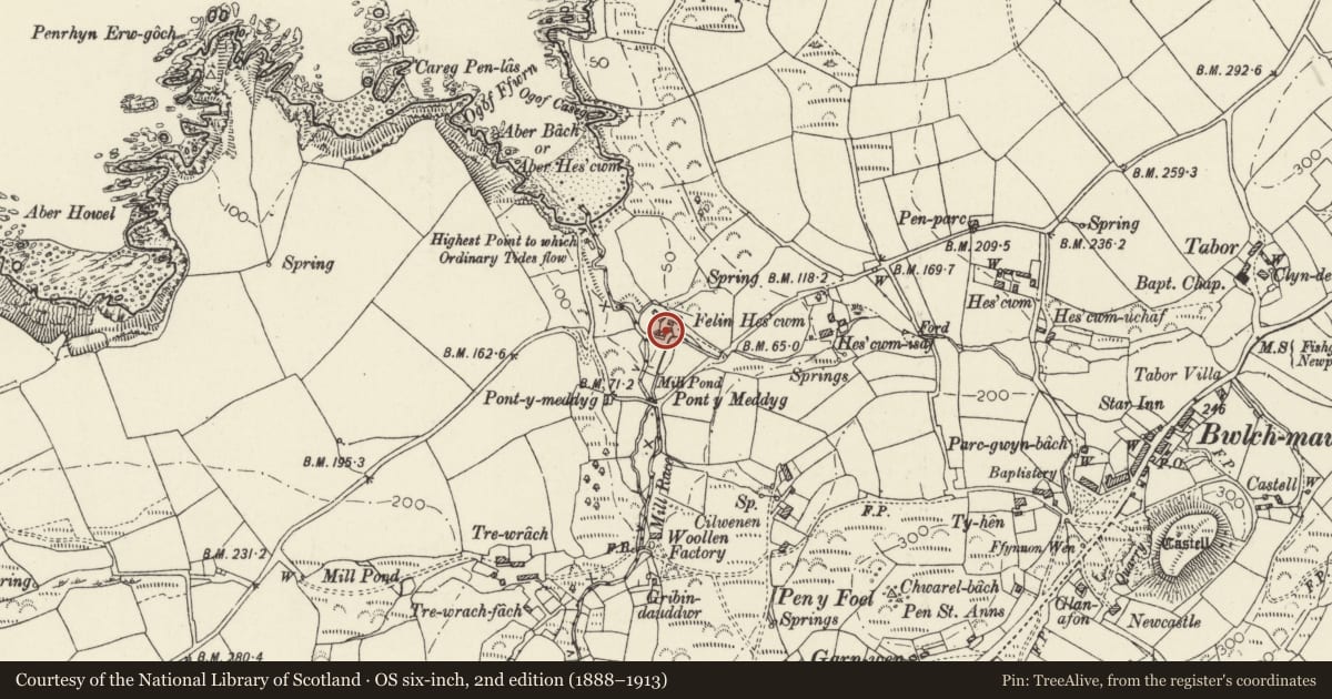 Ordnance Survey six-inch map, 2nd edition (1888–1913) covering the location of Hescwm Mill/Felin Hescwm, Dinas Cross, Pembrokeshire, with a pin at the register's coordinates
