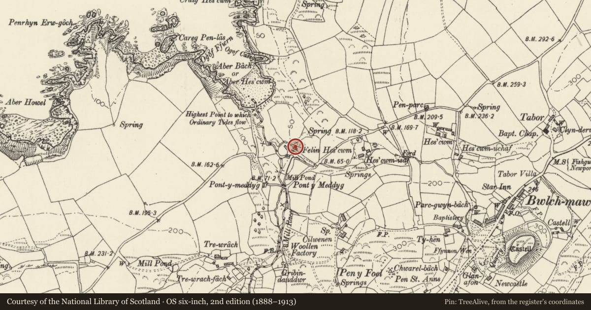 Ordnance Survey six-inch map, 2nd edition (1888–1913) covering the location of Former Stables and Cartshed at Hescwm Mill/Felin Hescwm, Dinas Cross, Pembrokeshire, with a pin at the register's coordinates
