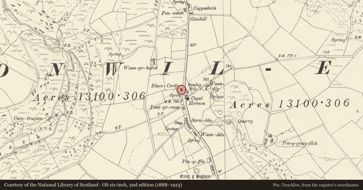 Ordnance Survey six-inch map, 2nd edition (1888–1913) covering the location of Blaencerdin, Cynwyl Elfed, Carmarthenshire, with a pin at the register's coordinates