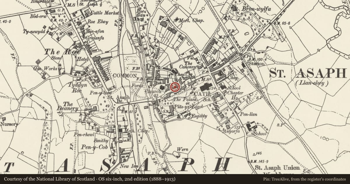 Ordnance Survey six-inch map, 2nd edition (1888–1913) covering the location of Conservative Club, St. Asaph, Denbighshire, with a pin at the register's coordinates