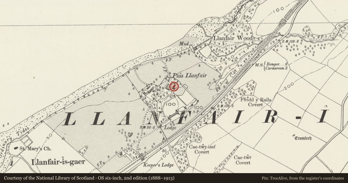 Ordnance Survey six-inch map, 2nd edition (1888–1913) covering the location of Former Coach-house to the rear of Llanfair Hall, Y Felinheli, Gwynedd, with a pin at the register's coordinates