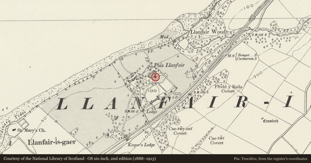 Ordnance Survey six-inch map, 2nd edition (1888–1913) covering the location of Former Game Larder to the rear of Llanfair Hall, Y Felinheli, Gwynedd, with a pin at the register's coordinates