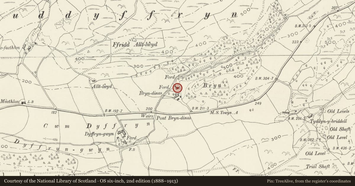 Ordnance Survey six-inch map, 2nd edition (1888–1913) covering the location of Bryn Dinas, Tywyn, Gwynedd, with a pin at the register's coordinates