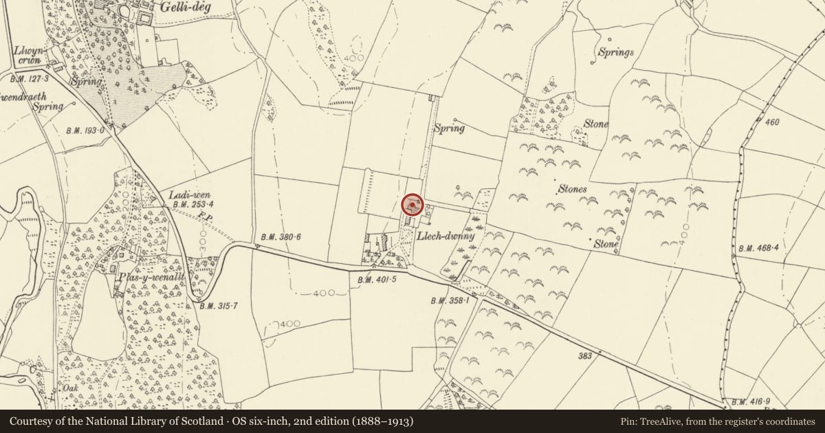 Ordnance Survey six-inch map, 2nd edition (1888–1913) covering the location of Old house at Llechdwnni, Llandyfaelog, Carmarthenshire, with a pin at the register's coordinates