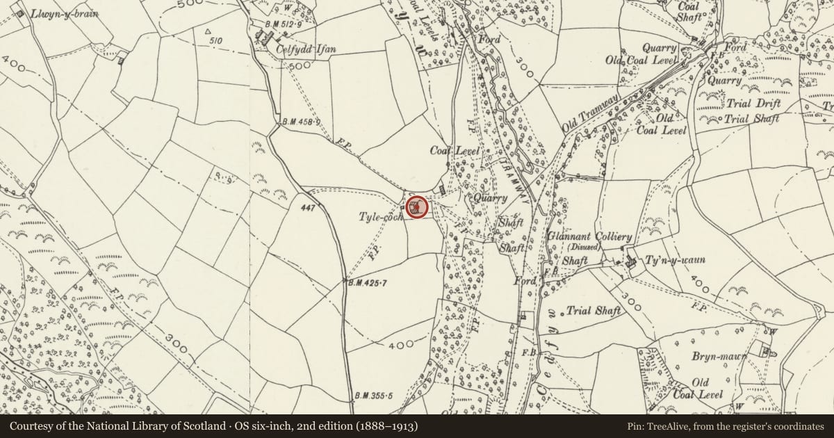 Ordnance Survey six-inch map, 2nd edition (1888–1913) covering the location of Tyle-coch, Garw Valley, Bridgend, with a pin at the register's coordinates