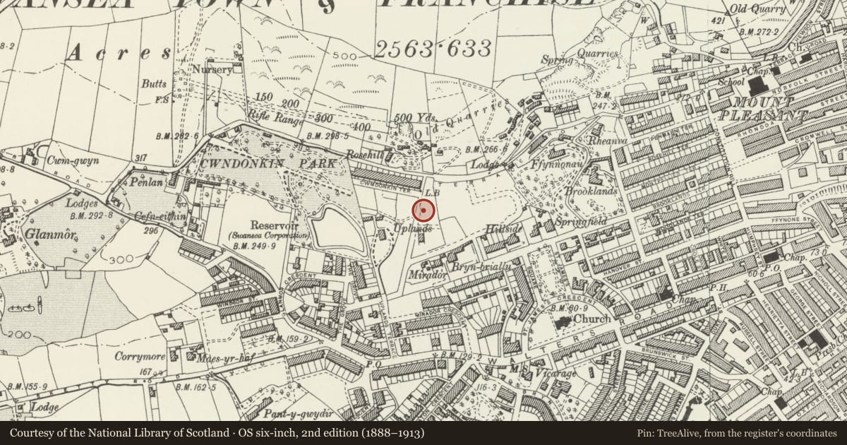 Ordnance Survey six-inch map, 2nd edition (1888–1913) covering the location of 5 Cwmdonkin Drive, Uplands, Swansea, with a pin at the register's coordinates