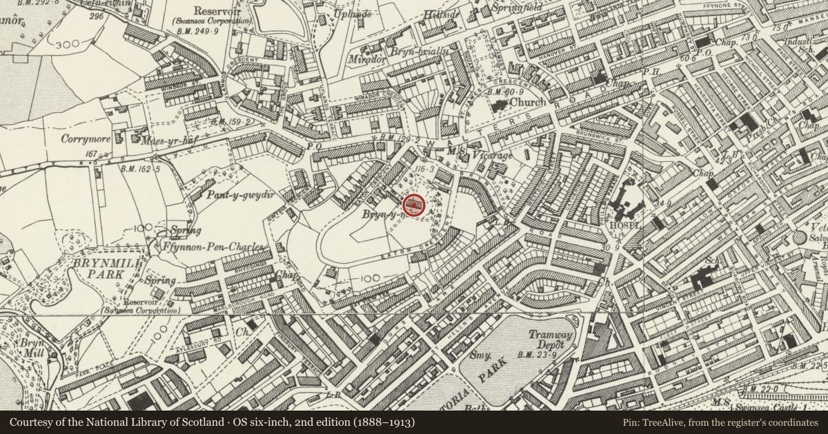 Ordnance Survey six-inch map, 2nd edition (1888–1913) covering the location of Stella Maris Convent, Uplands, Swansea, with a pin at the register's coordinates