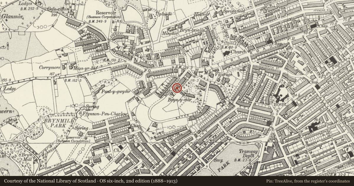 Ordnance Survey six-inch map, 2nd edition (1888–1913) covering the location of 19 Eaton Crescent, Uplands, Swansea, with a pin at the register's coordinates