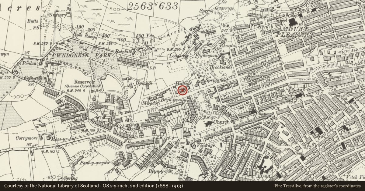 Ordnance Survey six-inch map, 2nd edition (1888–1913) covering the location of Devon Terrace, Uplands, Swansea, with a pin at the register's coordinates