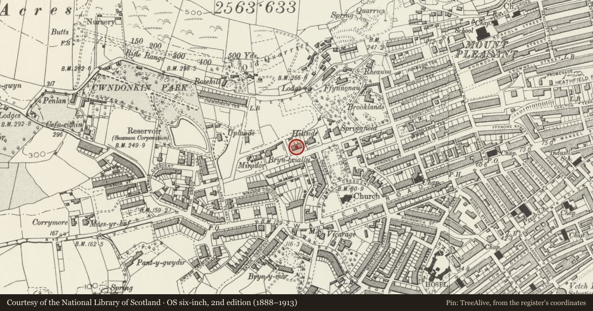 Ordnance Survey six-inch map, 2nd edition (1888–1913) covering the location of Devon Terrace, Uplands, Swansea, with a pin at the register's coordinates