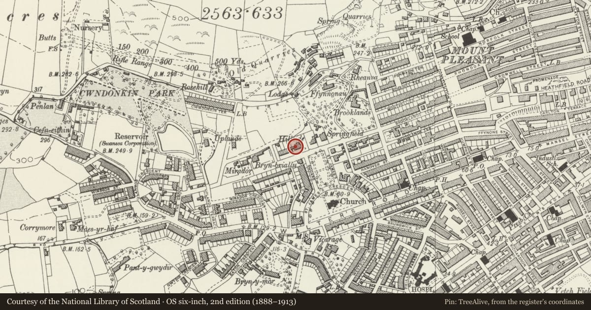 Ordnance Survey six-inch map, 2nd edition (1888–1913) covering the location of Hillside, Uplands, Swansea, with a pin at the register's coordinates