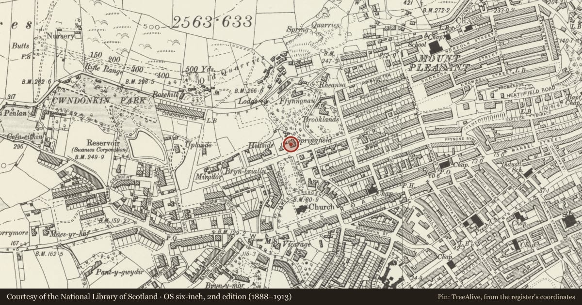 Ordnance Survey six-inch map, 2nd edition (1888–1913) covering the location of Springfield (Deaf and Dumb Mission), Uplands, Swansea, with a pin at the register's coordinates
