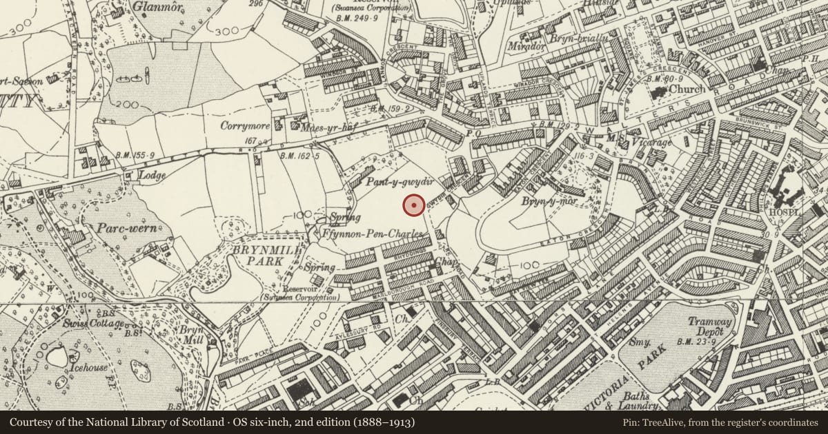 Ordnance Survey six-inch map, 2nd edition (1888–1913) covering the location of Pantgwydir Baptist Church, Uplands, Swansea, with a pin at the register's coordinates