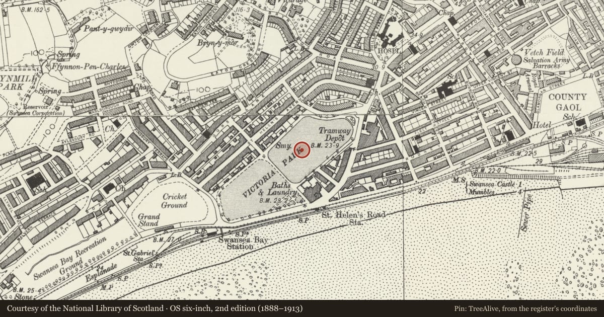 Ordnance Survey six-inch map, 2nd edition (1888–1913) covering the location of Swansea New Guildhall, Uplands, Swansea, with a pin at the register's coordinates