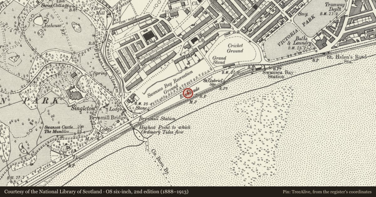 Ordnance Survey six-inch map, 2nd edition (1888–1913) covering the location of Cenotaph including surrounding walls, Uplands, Swansea, with a pin at the register's coordinates